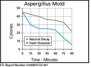 aspergillus