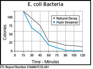 e. coli